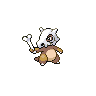 Cubone front 