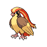 Pidgey front 