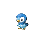 Piplup front 