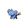 Shinx front 