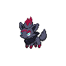 Zorua front 