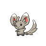 Cinccino front 