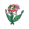 Skiddo front 