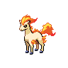 Ponyta front 