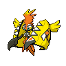 Tapu Koko front 