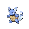 Wartortle front 