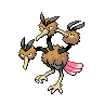 Dodrio front 
