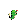 Caterpie back 