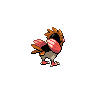 Fearow back 