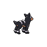 Houndoom back 