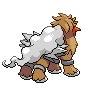 Entei back 