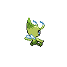 Grovyle back 