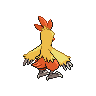 Torchic back 