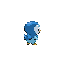 Piplup back 