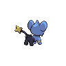 Shinx back 