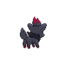 Zorua back 