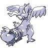 Reshiram back 