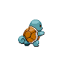 Squirtle back 