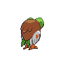 Dartrix back 