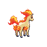 Ponyta back 