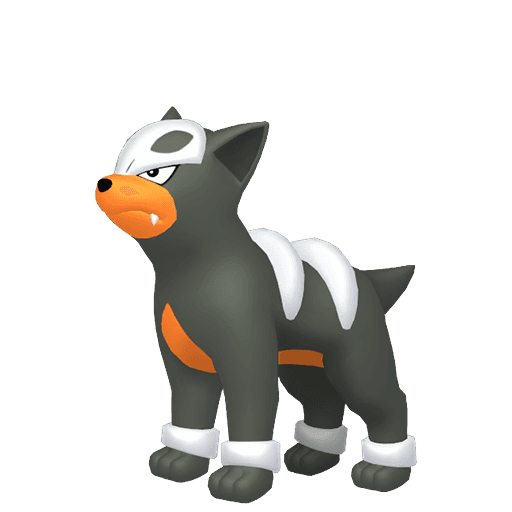 Houndoom home 