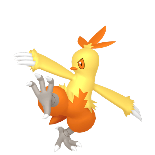 Torchic home 