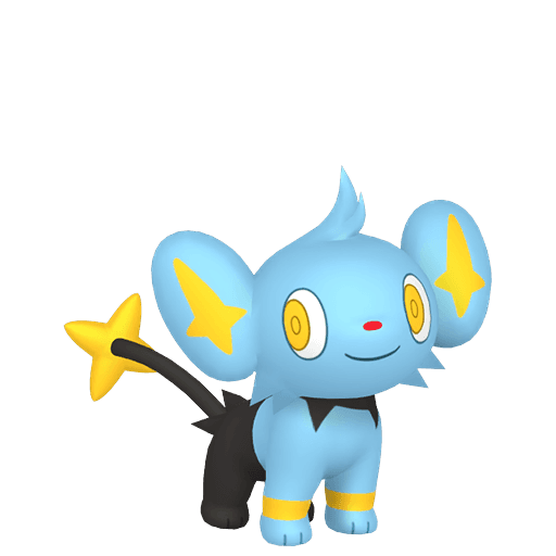 Shinx home 