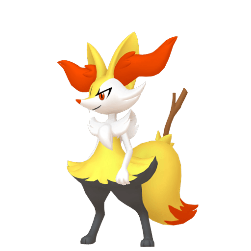 Braixen home 