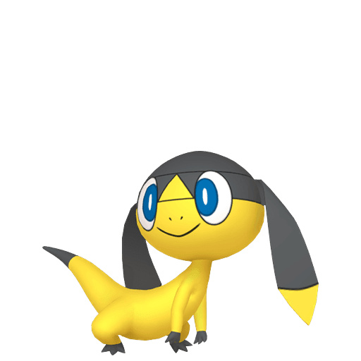 ガチゴラス home 