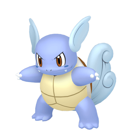 Wartortle home 